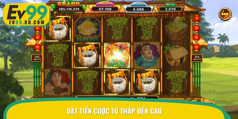 Ưu tiên đặt cược từ thấp đến cao để hạn chế rủi ro đáng kể