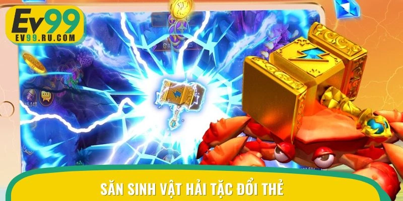 Săn sinh vật hải tặc đổi thẻ 