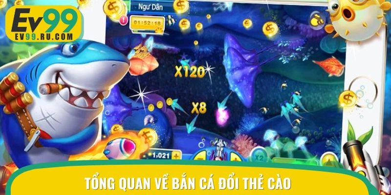 Khái quát về săn cá đổi thẻ cào