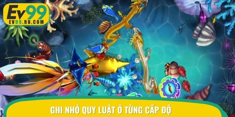 Ghi nhớ quy luật ở từng cấp độ trong bắn cá hải tặc