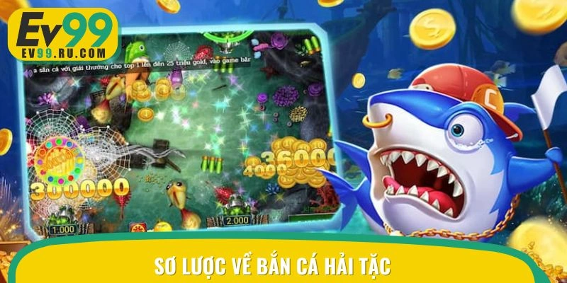 Sơ lược tổng quan về săn sinh vật hải tặc