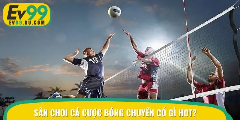 Sức hấp dẫn của sân chơi cá cược bóng chuyền cực lớn