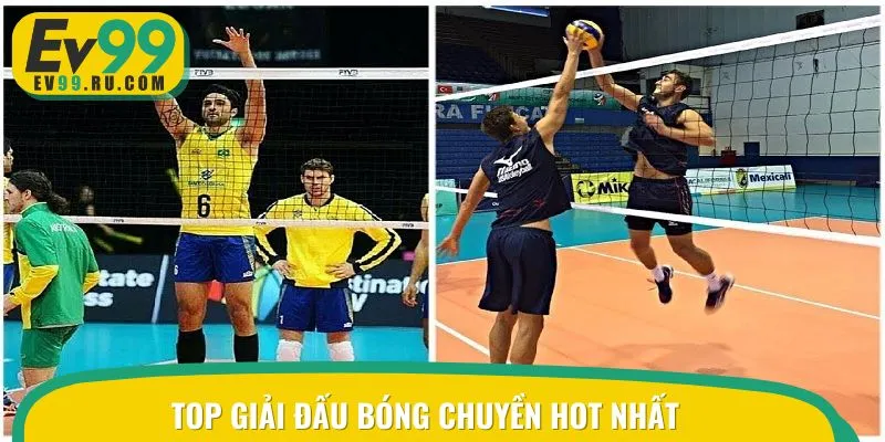 Khám phá ngay các giải đấu bóng chuyền được ưa chuộng nhấtKhám phá ngay các giải đấu bóng chuyền được ưa chuộng nhất