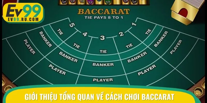 Tìm hiểu về cách chơi Baccarat cơ bản