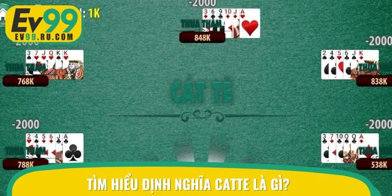 Tìm hiểu định nghĩa Catte là gì?
