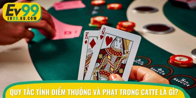 Quy tắc tính điểm thưởng và phạt trong Catte là gì?