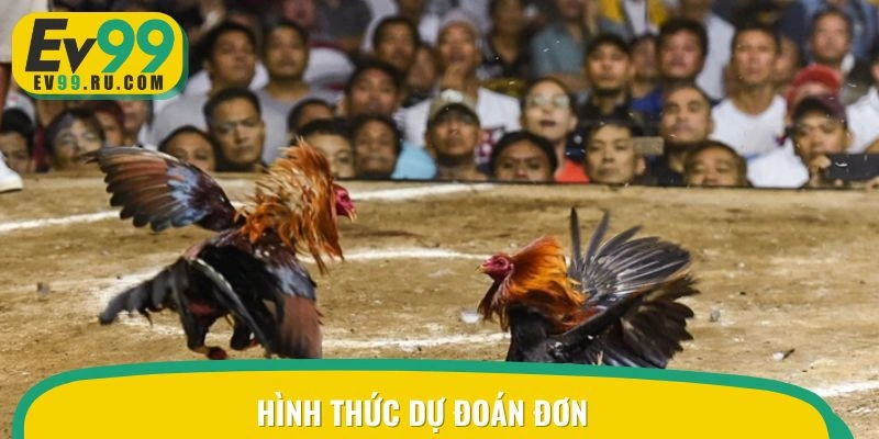Hình thức dự đoán đơn trong đá gà cựa sắt