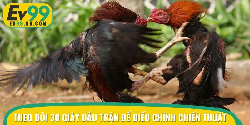 Dành thời gian theo dõi trước khi bắt đầu trận