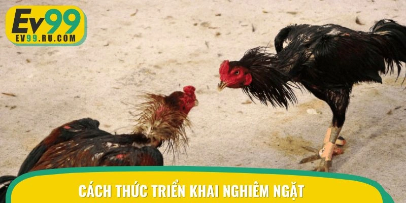 Cách thức triển khai nghiêm ngặt trong mọi trường hợp