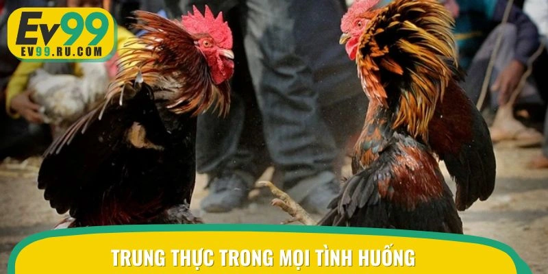 Trung thực hơn ở trong mọi tình huống