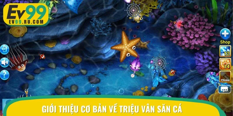 Đôi nét về Triệu Vân săn cá hot hit